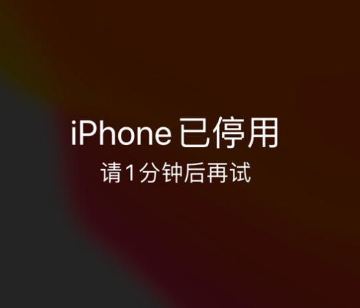 襄汾苹果手机维修分享:iPhone 显示“不可用”或“已停用”怎么办？还能保留数据吗？ 