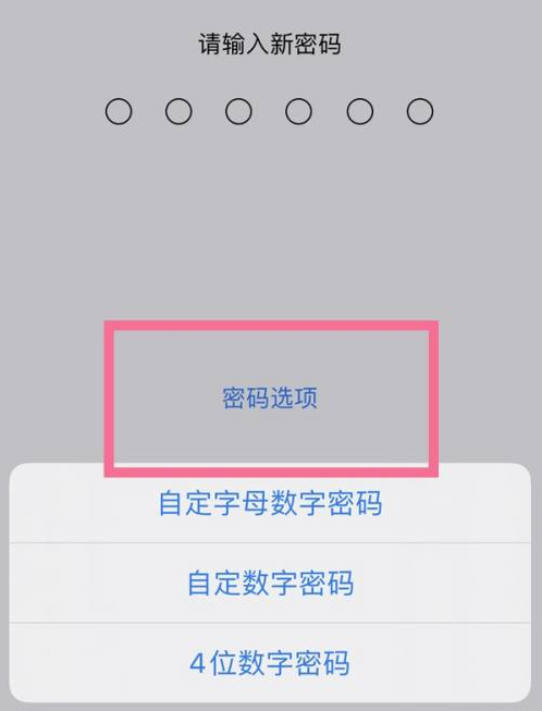 襄汾苹果14维修分享iPhone 14plus设置密码的方法 