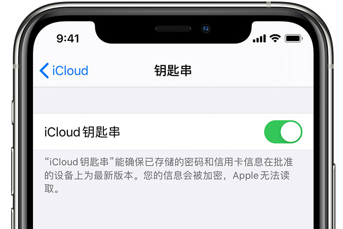 襄汾苹果手机维修分享在 iPhone 上开启 iCloud 钥匙串之后会储存哪些信息 